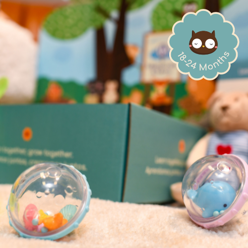 Milestones & More Kit: Owl (18-24 Months)
