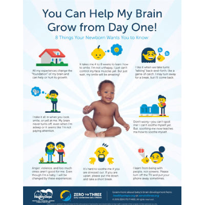 Baby Brain Infographic Handout