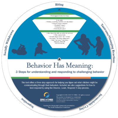 Behavior Has Meaning Wheels